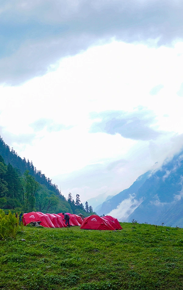 Bali Pass Trek